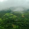 vismita county