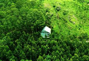 La Flora Spicewood,Munnar>>Chinnakanal,3 star