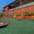 medha