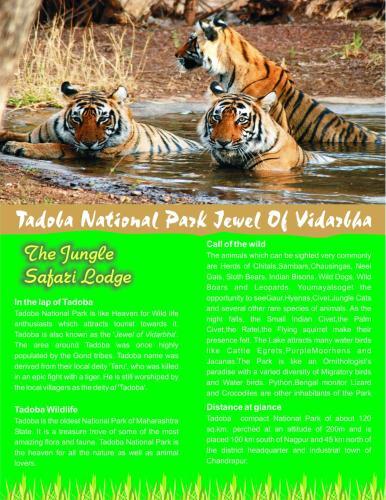chimur tiger resort at tadoba