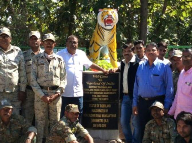 chimur tiger resort at tadoba