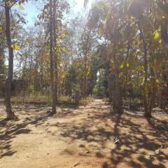 chimur tiger resort at tadoba