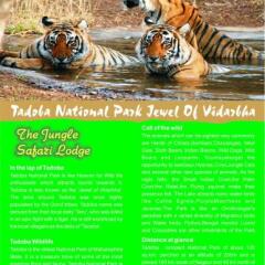 chimur tiger resort at tadoba
