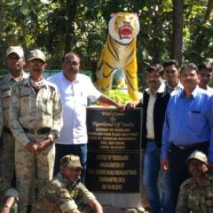 chimur tiger resort at tadoba