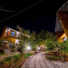 chimur tiger resort at tadoba