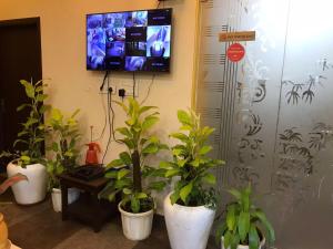 jeenmount heritage boutique hotel