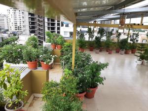 jeenmount heritage boutique hotel