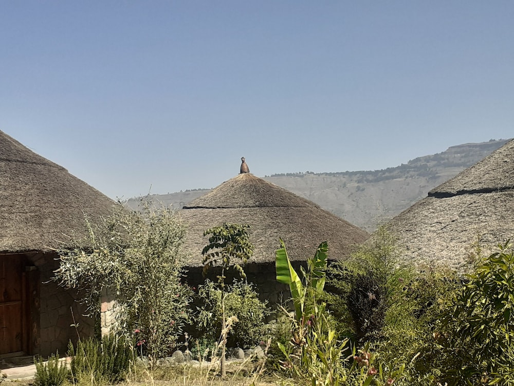 lalibela