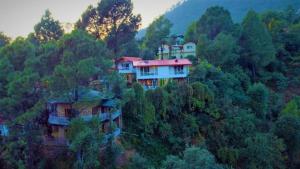 nainital