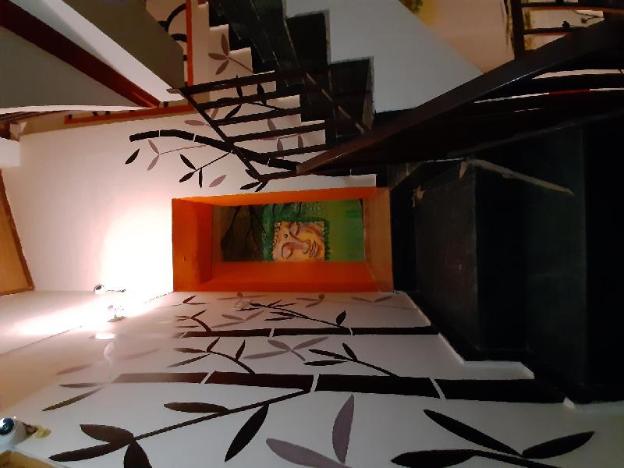 la vaca india manali