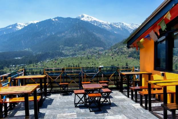 la vaca india manali