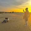 Amazing Desert Camp,Jaisalmer>>Desert National Park,2.5 star