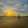 Amazing Desert Camp,Jaisalmer>>Desert National Park,2.5 star