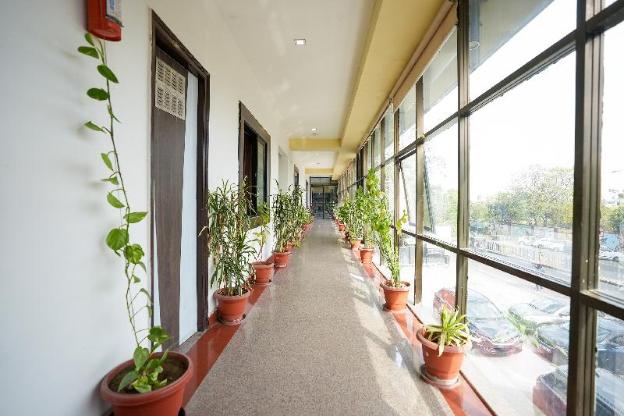 udaipur