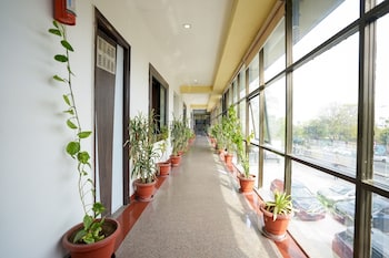 udaipur
