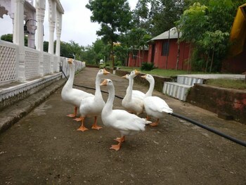 deshawar resort