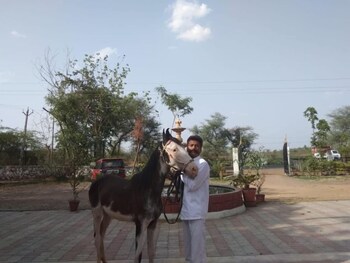 Deshawar Resort,Bayad>>Ahmedabad,3 star