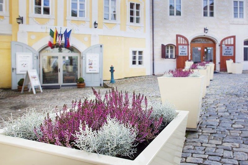 City-Image