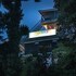 flyaway hostel mcleod ganj