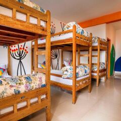 flyaway hostel mcleod ganj