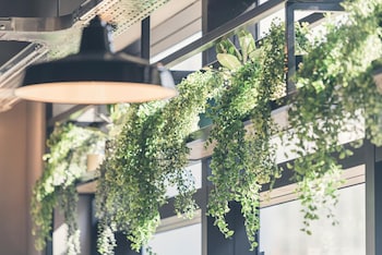 whoo bordeaux bacalan hostel