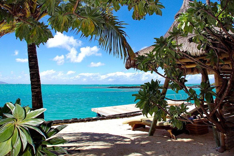 paradise cove boutique hotel adults only