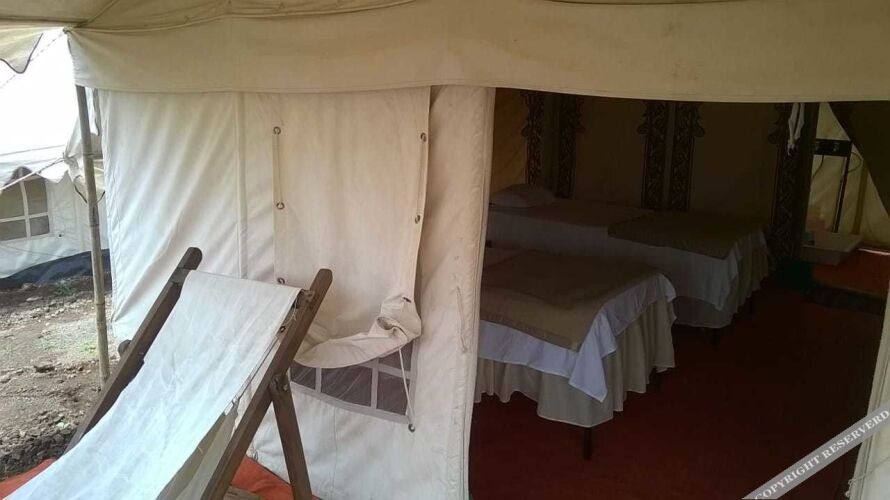a plus hospitalities