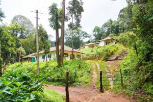 The Nest Bettathur Coorg 005,Kodagu>>Kakabe,2.5 star