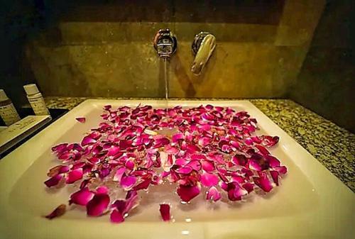 sanobar the midtown mussoorie