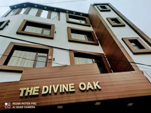 the divine oak