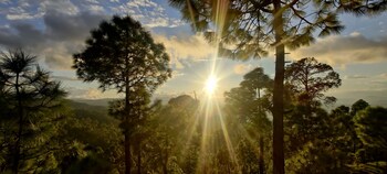 majkhali woods ranikhet by himalayan eco lodges