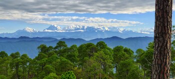 majkhali woods ranikhet by himalayan eco lodges