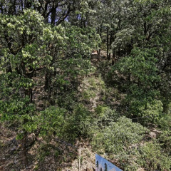 dharamshala