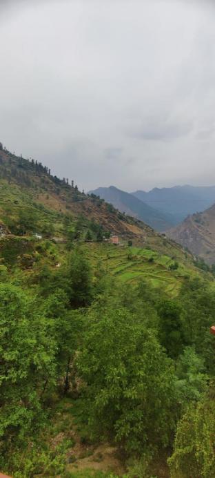 joshimath