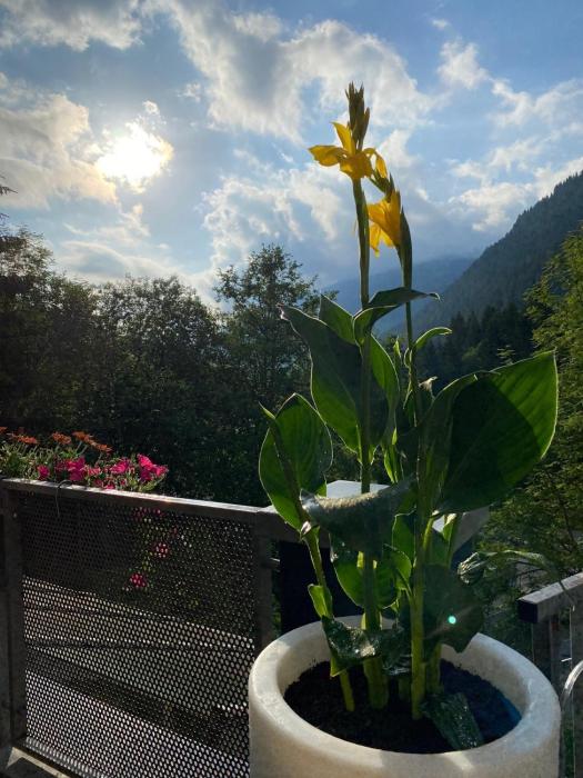 saalbach hinterglemm