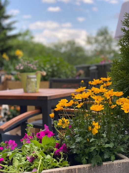 saalbach hinterglemm