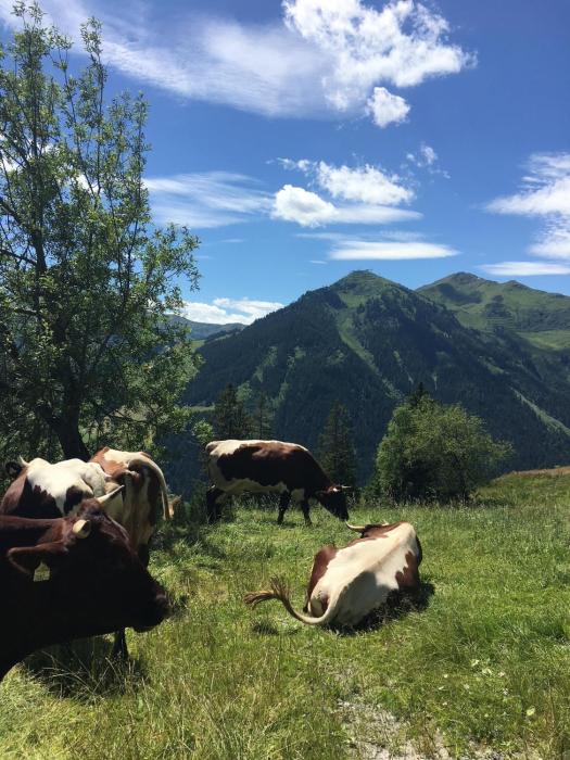 saalbach hinterglemm
