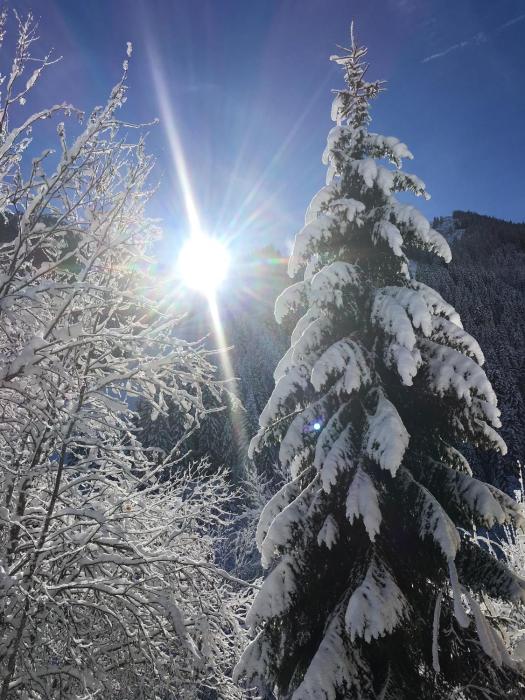 saalbach hinterglemm