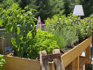 saalbach hinterglemm