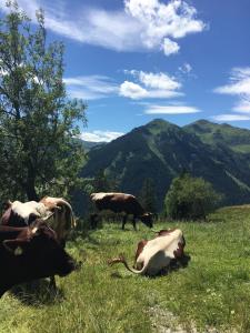 saalbach hinterglemm