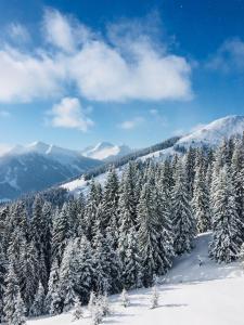 saalbach hinterglemm