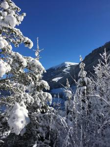 saalbach hinterglemm
