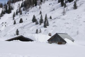 boutiquehotel lindenhof