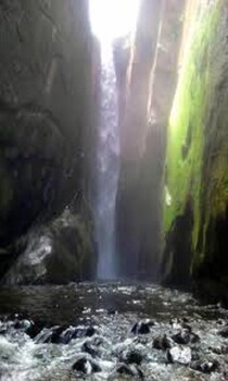 orchard valley resort