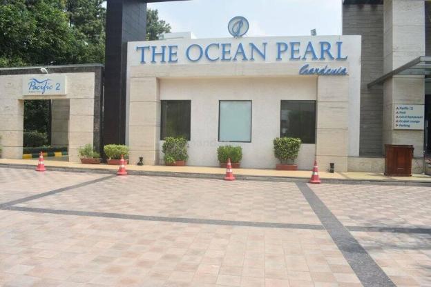 the ocean pearl gardenia