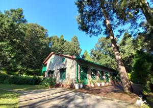 fredys bungalow