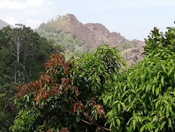 tea garden holiday inn