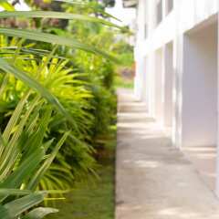 island apartments