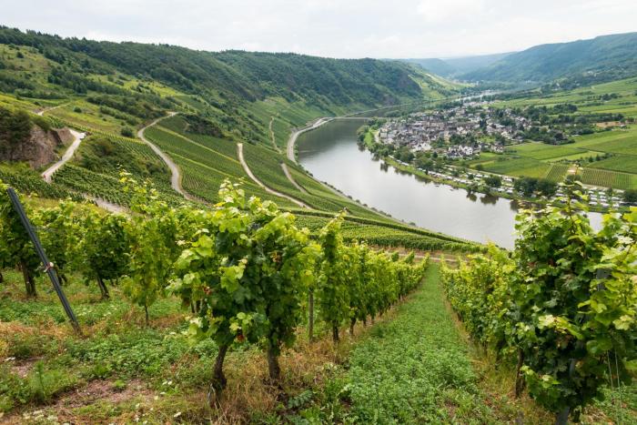 trabener hof by neugart