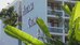 pestana casino park ocean and spa hotel